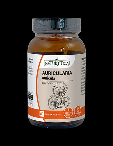 Auricularia - auricula - Naturetica